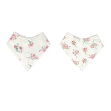 Waterproof Baby Bib - 2 pack -  Proteas