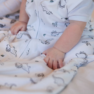 100% Cotton Dinosaur Summer Baby Sleeping Bag 6-20 months - Babes & Kids
