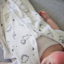 100% Cotton Dinosaur Summer Baby Sleeping Bag