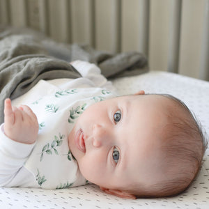 Waterproof Baby Bib - 2 pack -  Sage Leaf & Eucalyptus